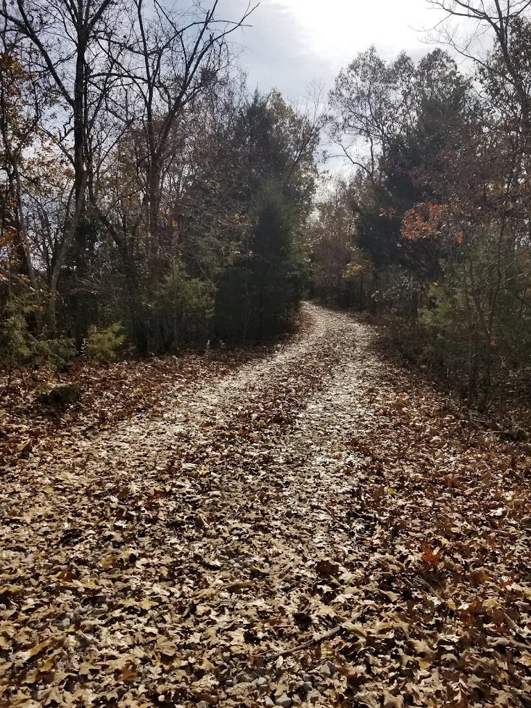 Robinson Bluff Climbing Area