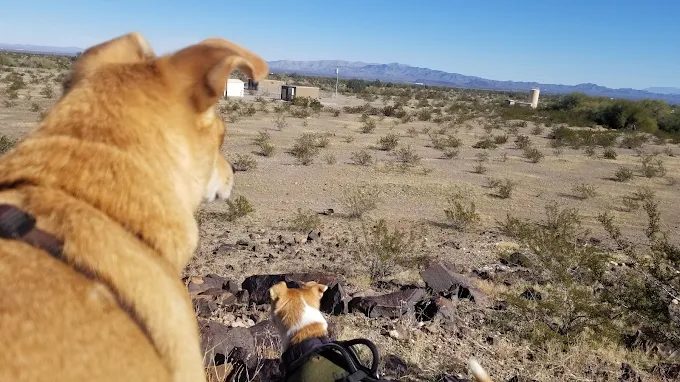 Gateway Ranch RV Resort