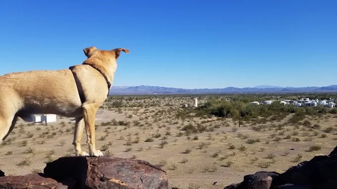 Gateway Ranch RV Resort