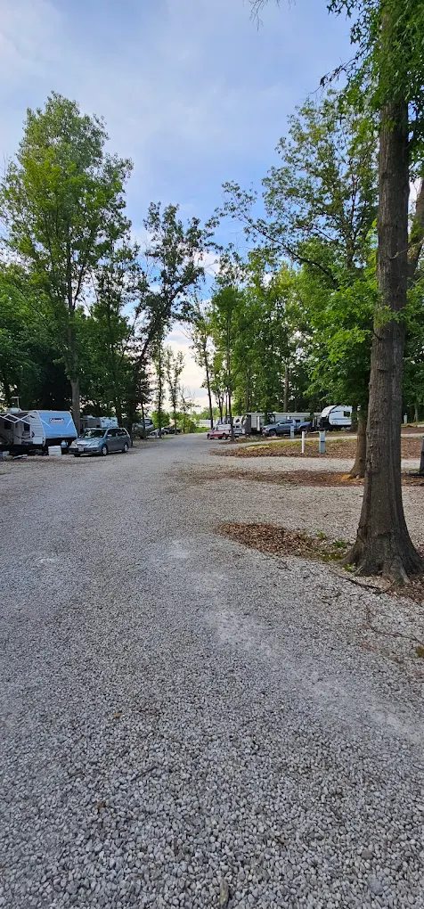 The Woods At Plaza Drive