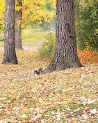 Sherin Memorial City Campground