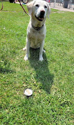 Wildwood RV Park & Campground