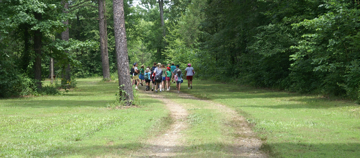 Camp High Point--Conifer Area Properties