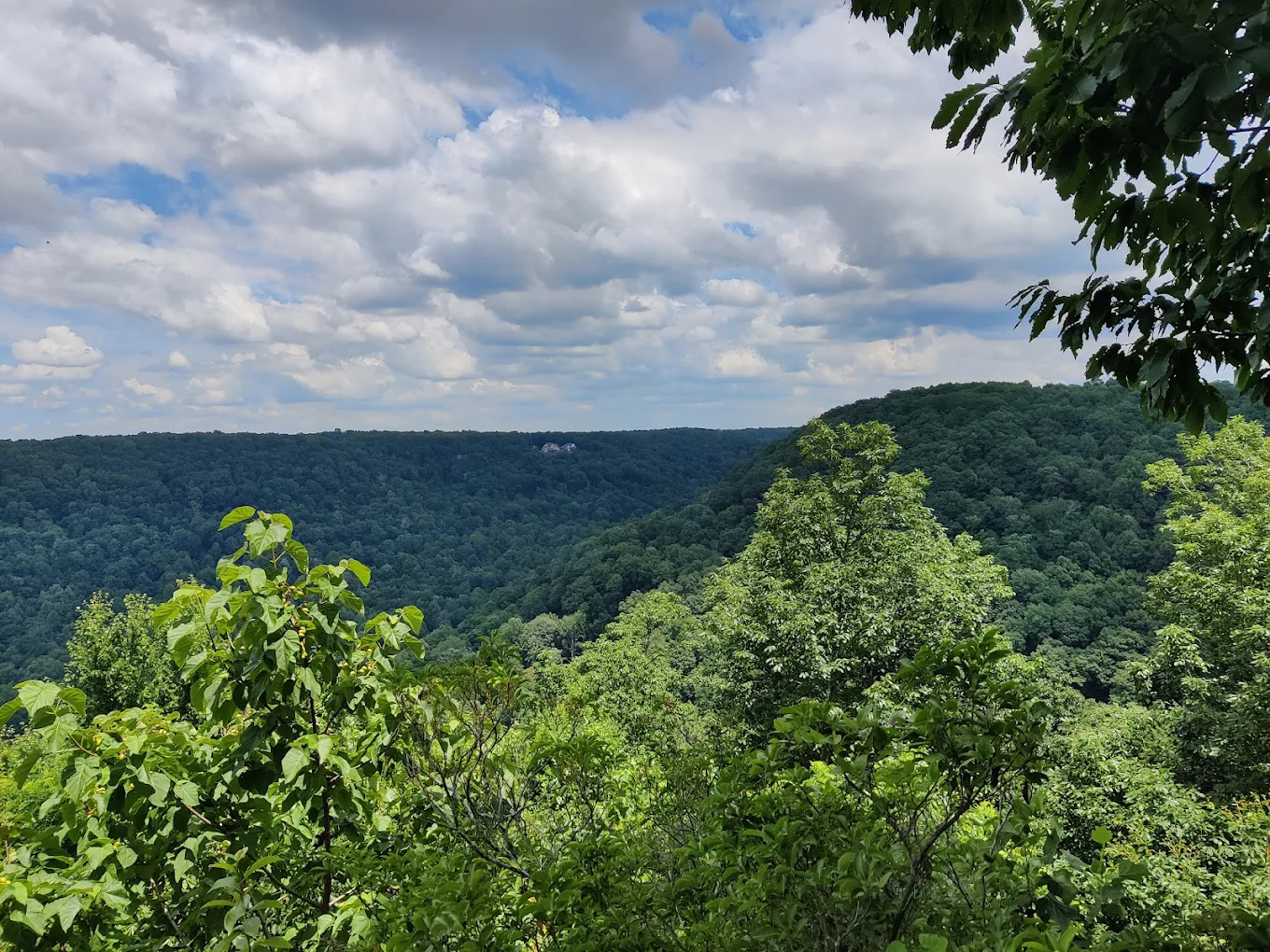 Bigfoot Adventure and Baggenstoss Farm