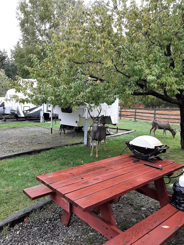 Scenic Meadows RV Park