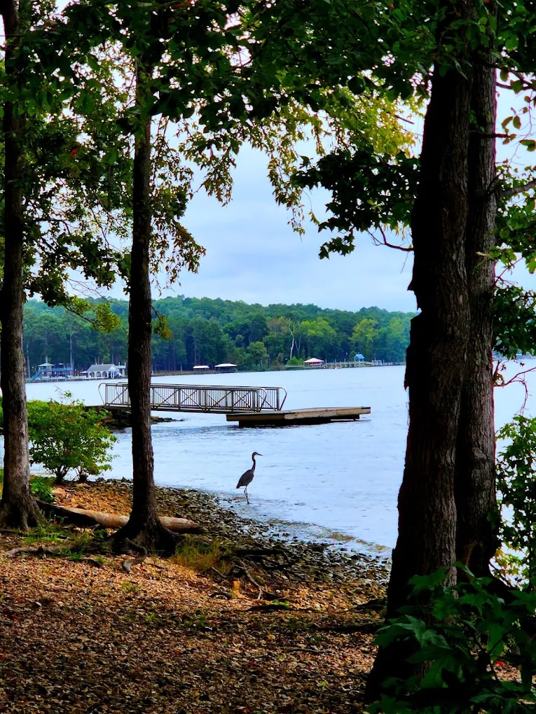 Bruton Branch Recreation Area