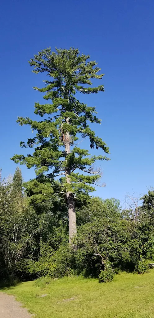 Big Falls Campground