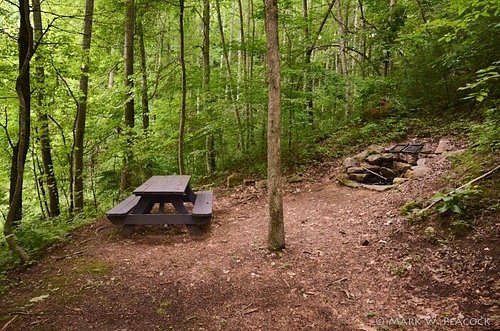 Blackberry Blossom Farm, Tent Campground, Suites