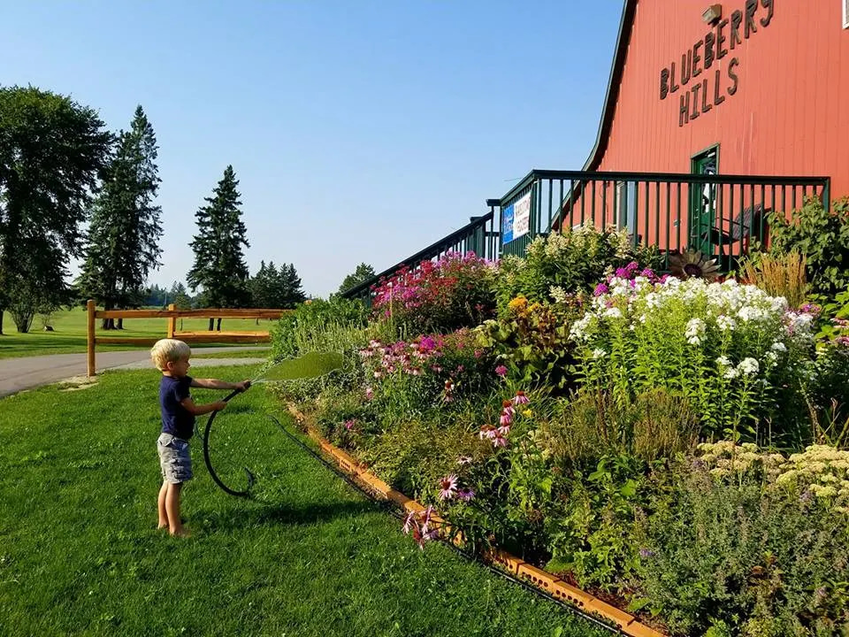 Blueberry Hills RV Park