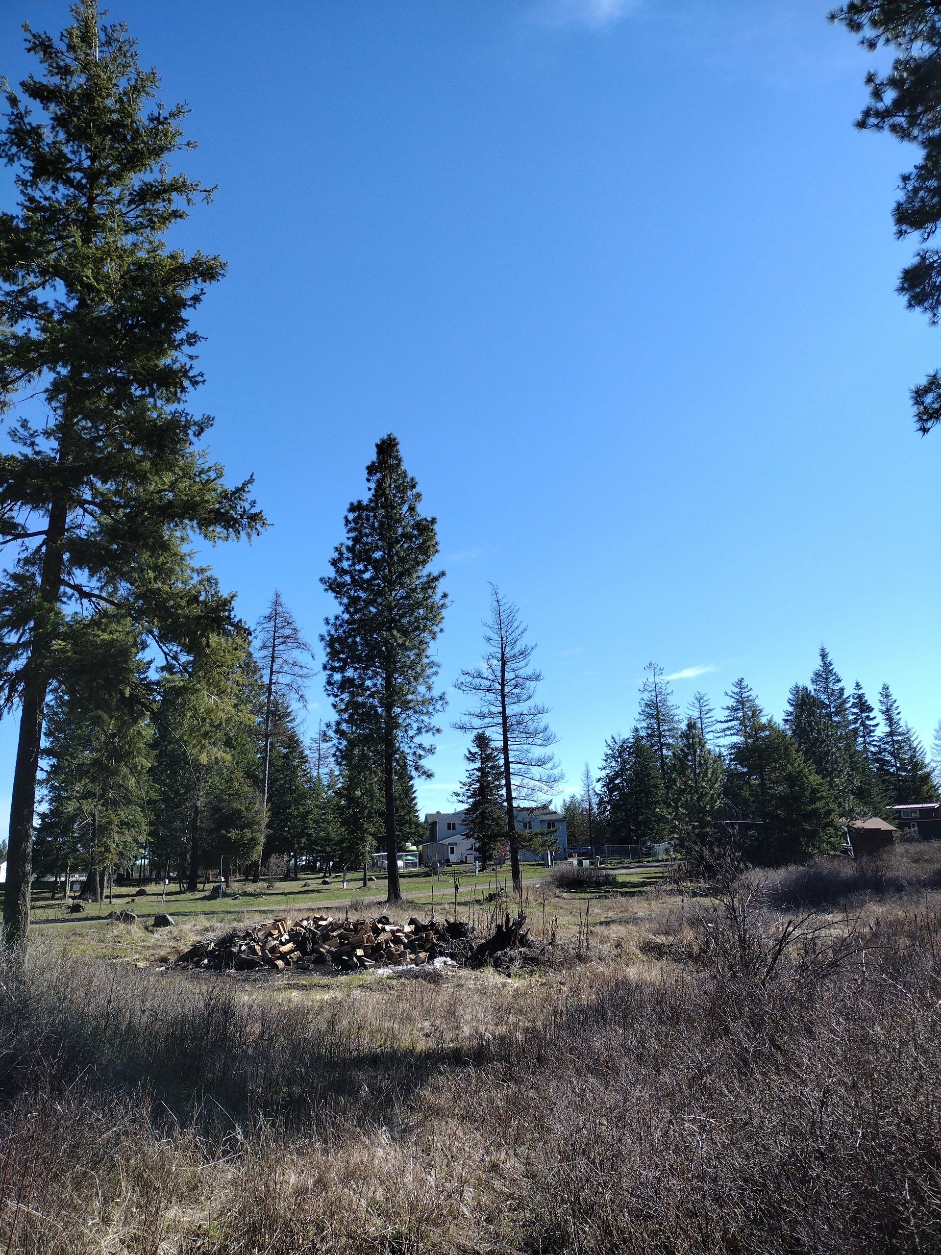 Praeder Ranch Resort