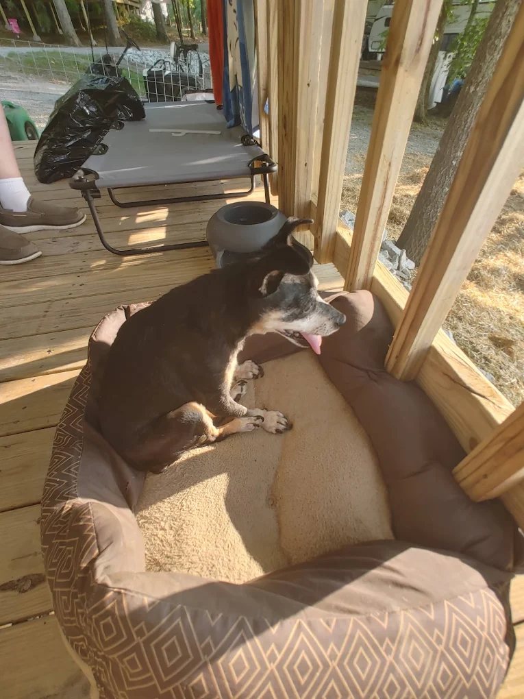 Beech Lake Family Camping Resort