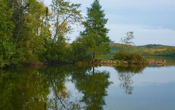 Lax Lake Resort
