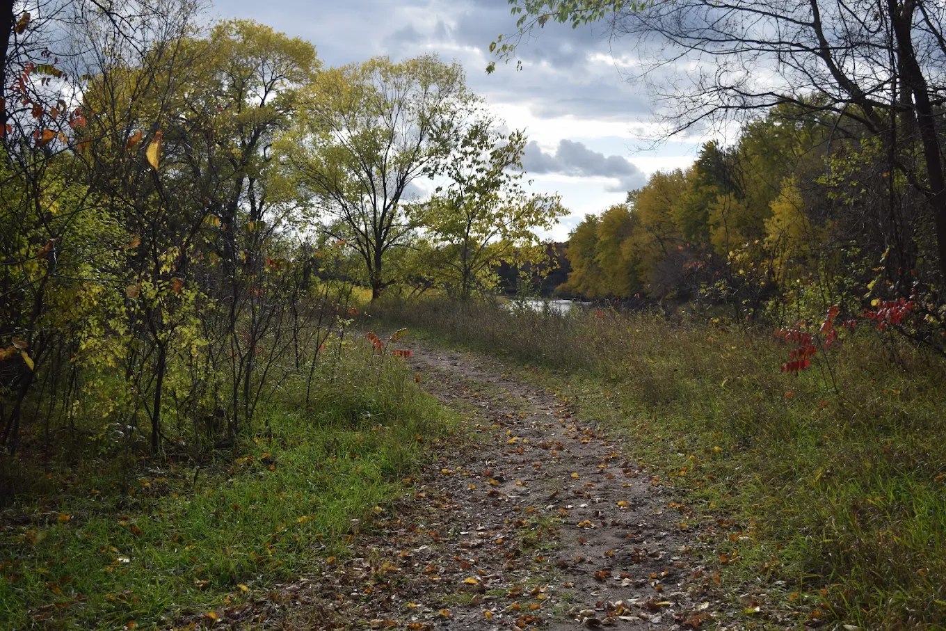Riverbend Group Campsite - Crow Hassan Park Reserve