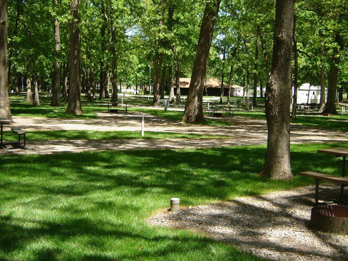 Whittington Woods Camp