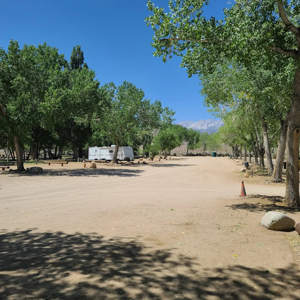 Brown's Millpond Campground