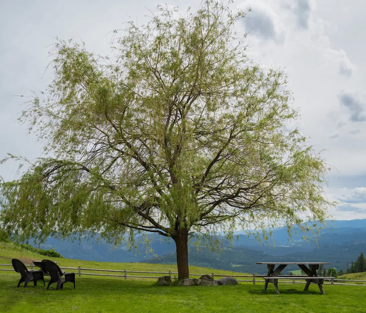 Bull Hill Guest Ranch