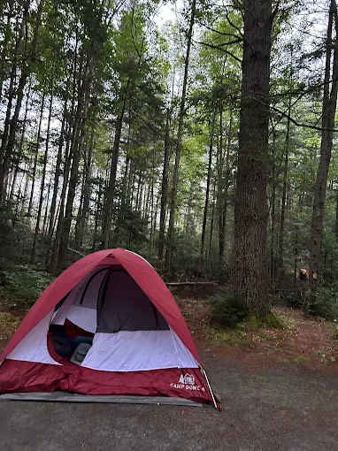 Ammonoosuc Campground