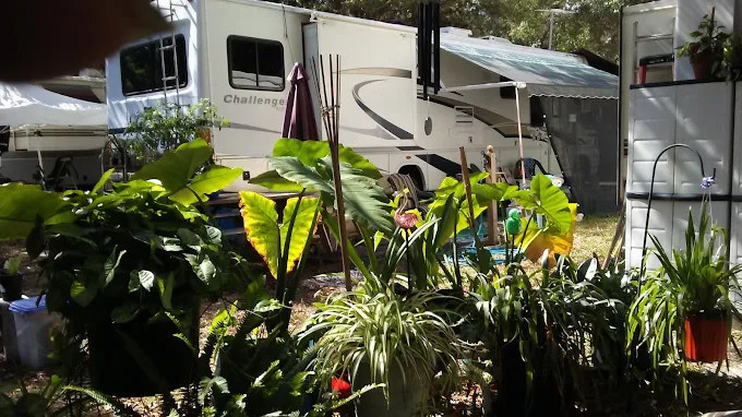 Anclote Village Rv Park