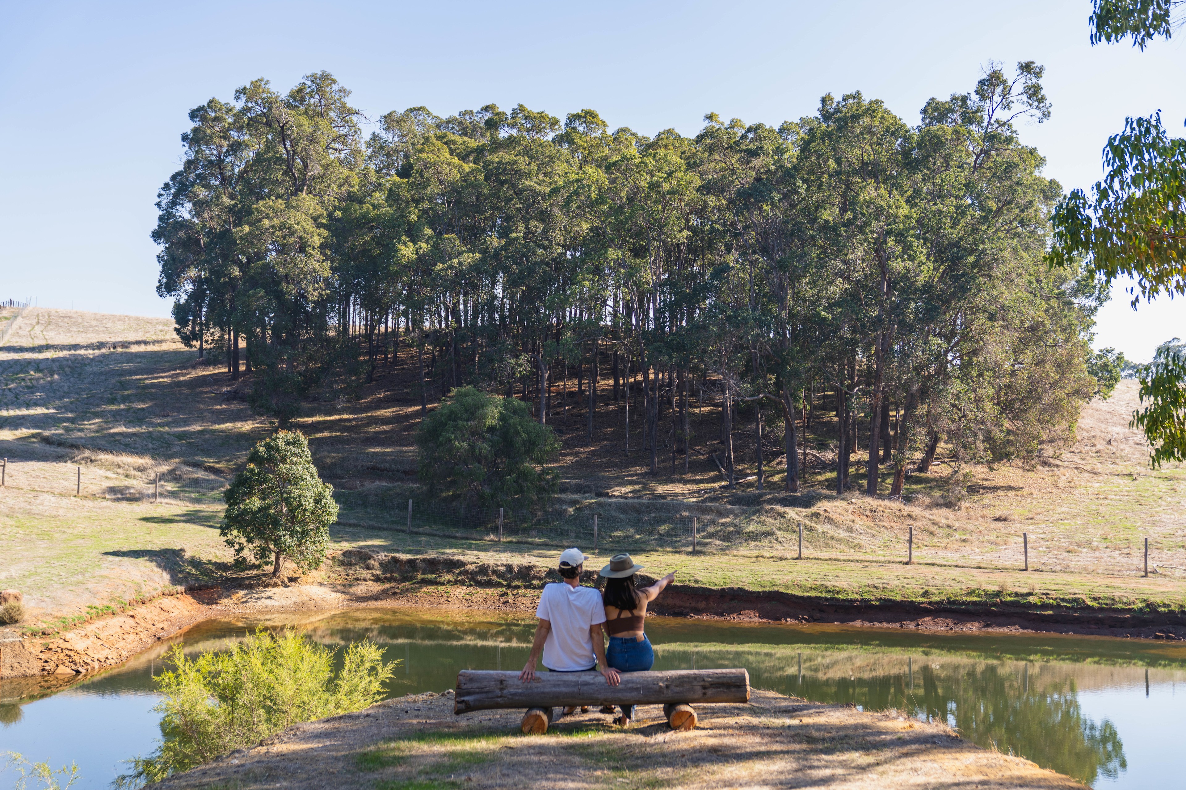 La Fiumara Olive Farm