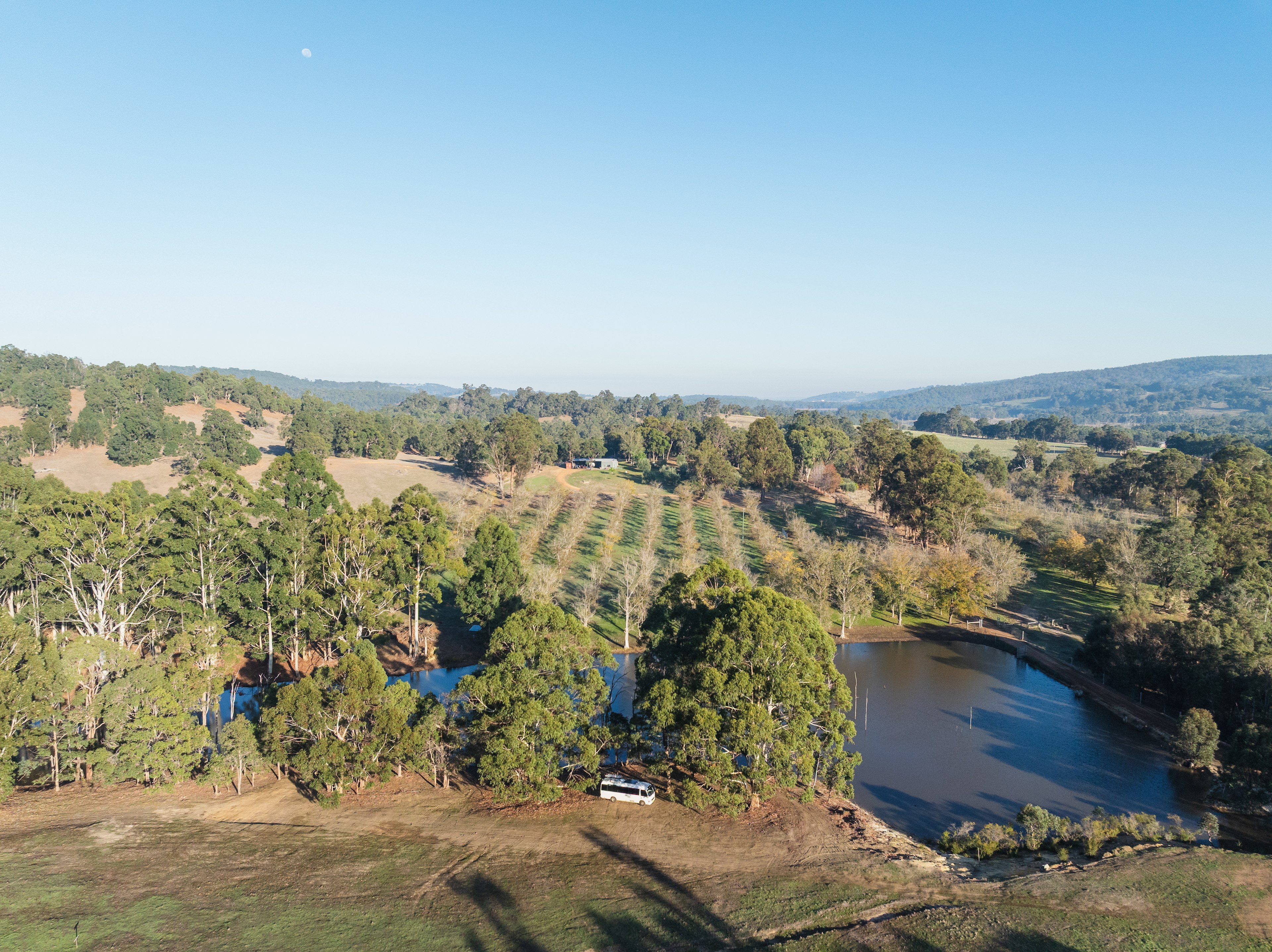 La Fiumara Olive Farm