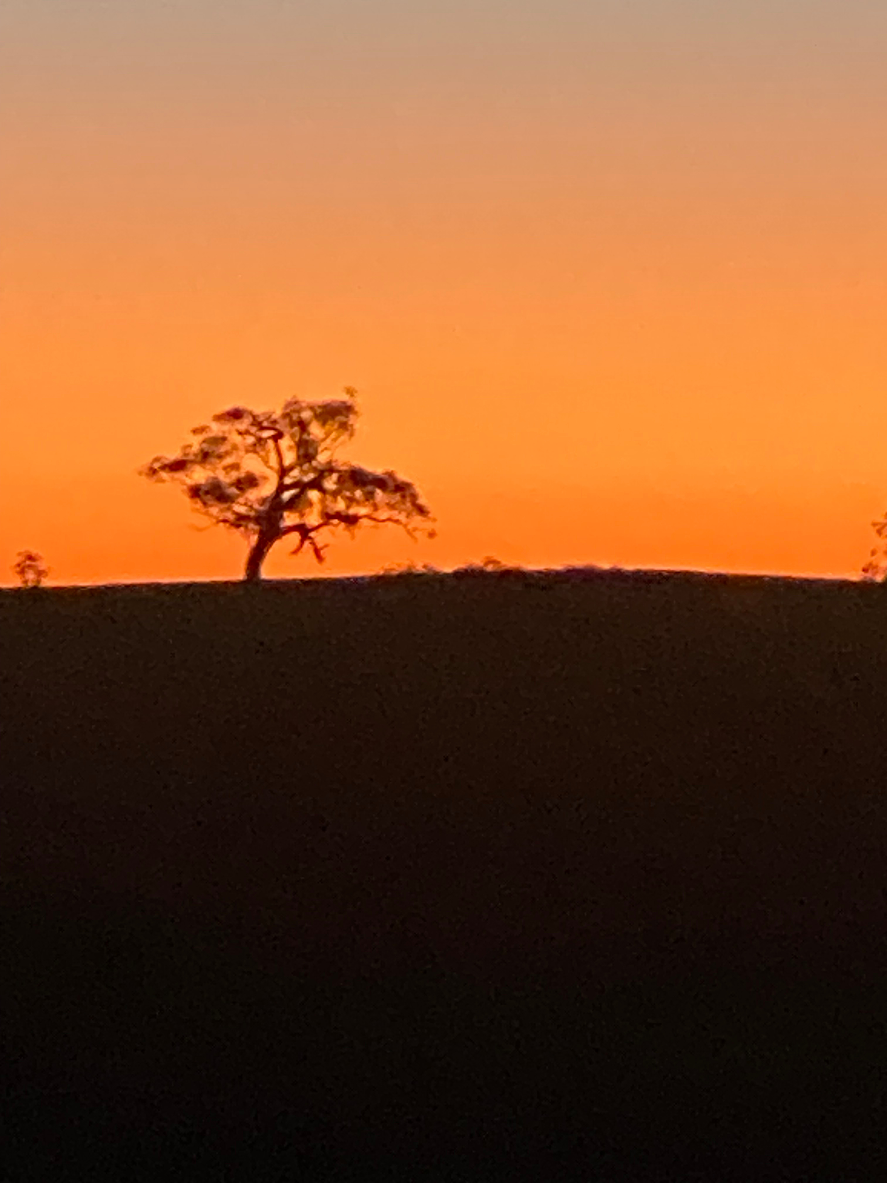 Stunning Sun Sets