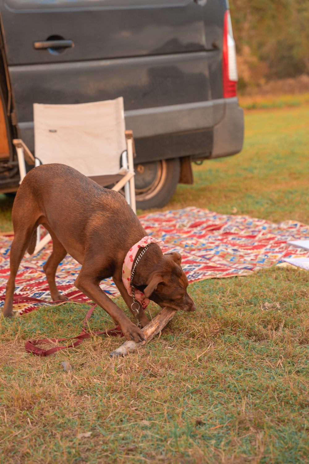 Juburra Country Camping