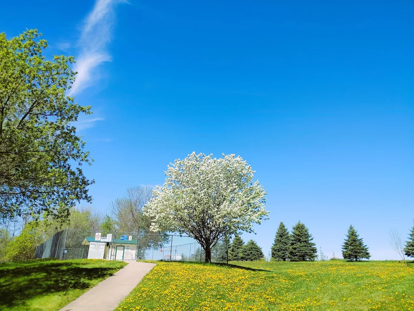 Cokato Lake RV Resort