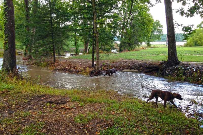 Turkey Creek RV Park