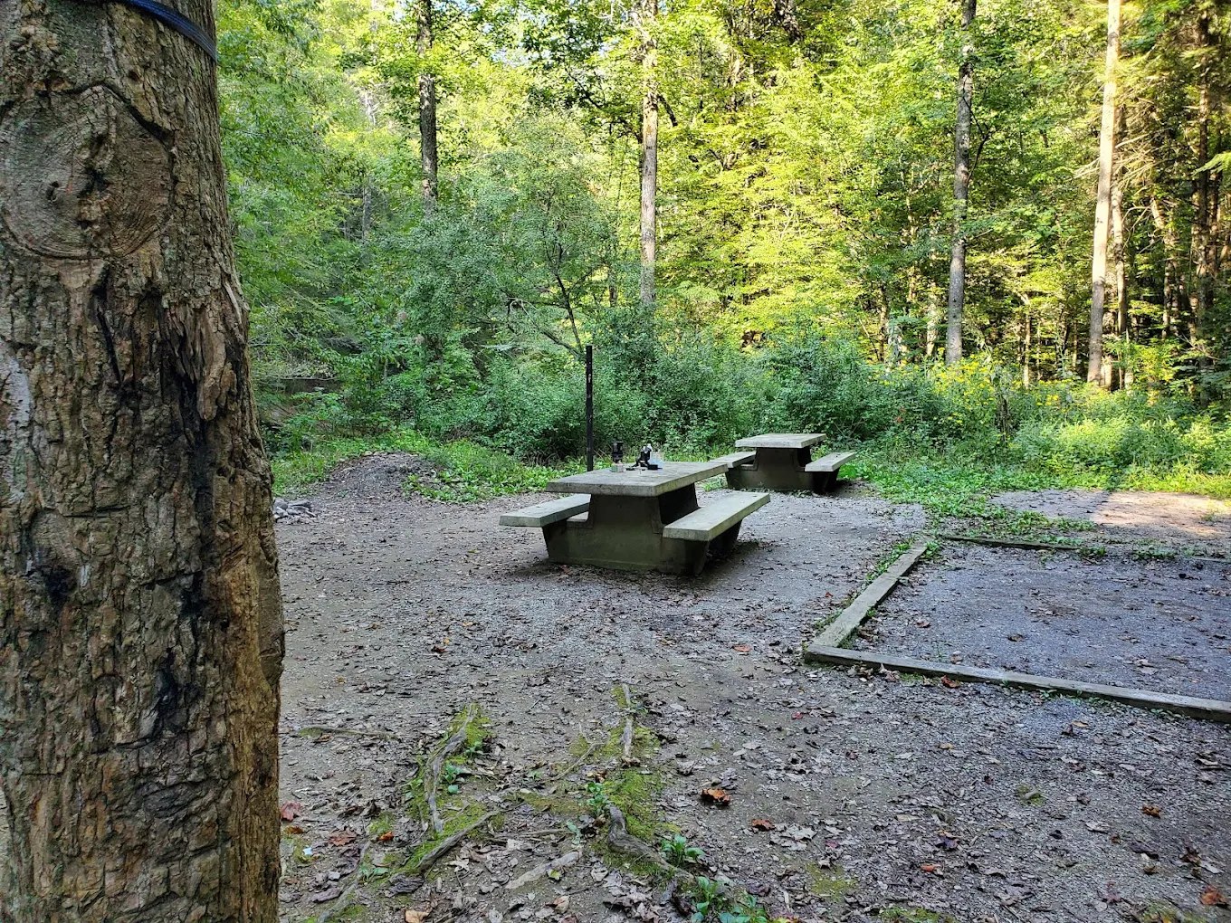 Lost Creek Campground