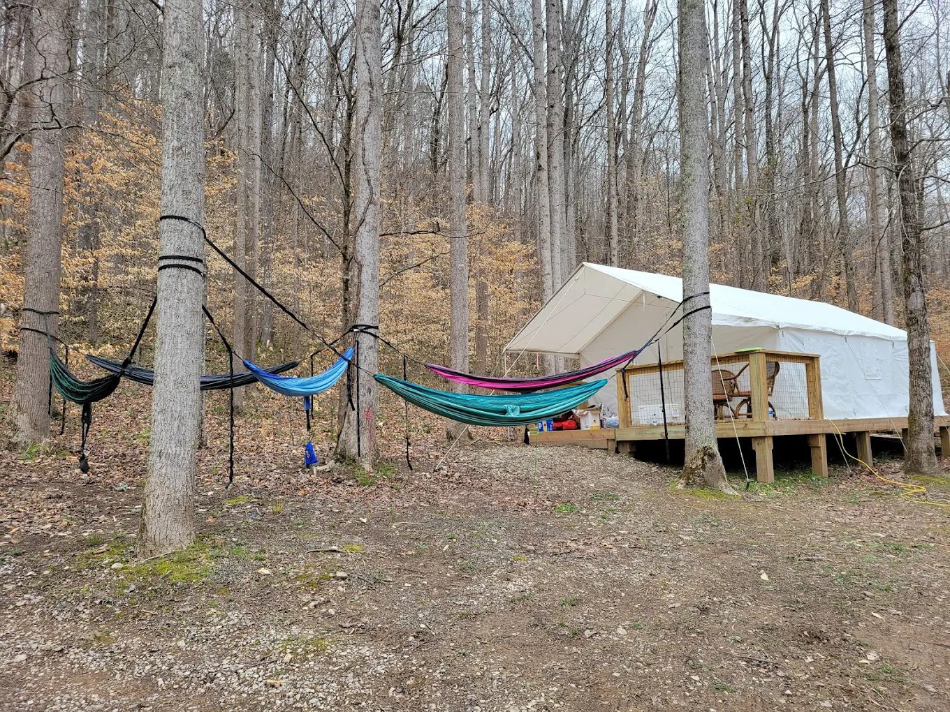 Horseshoe Bend Marina and Campgrounds