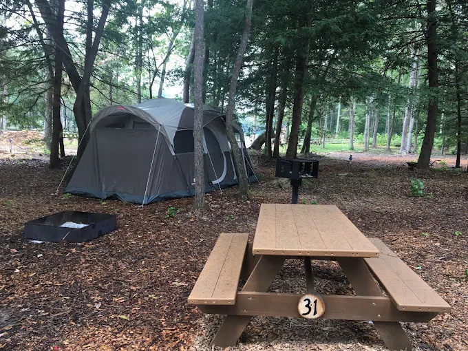 Old Mill Camp
