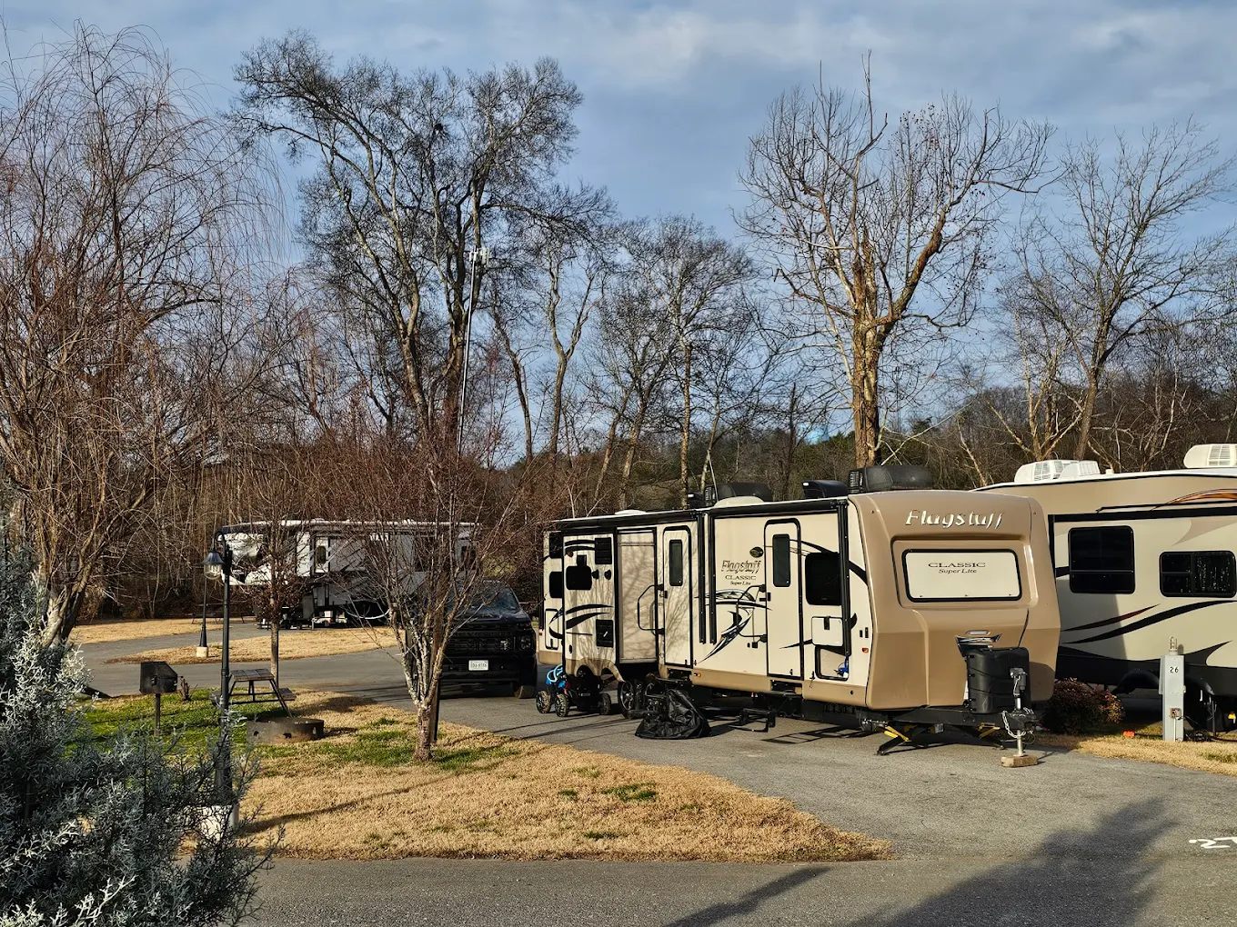 Buddy Bear in the Smokies RV Campground