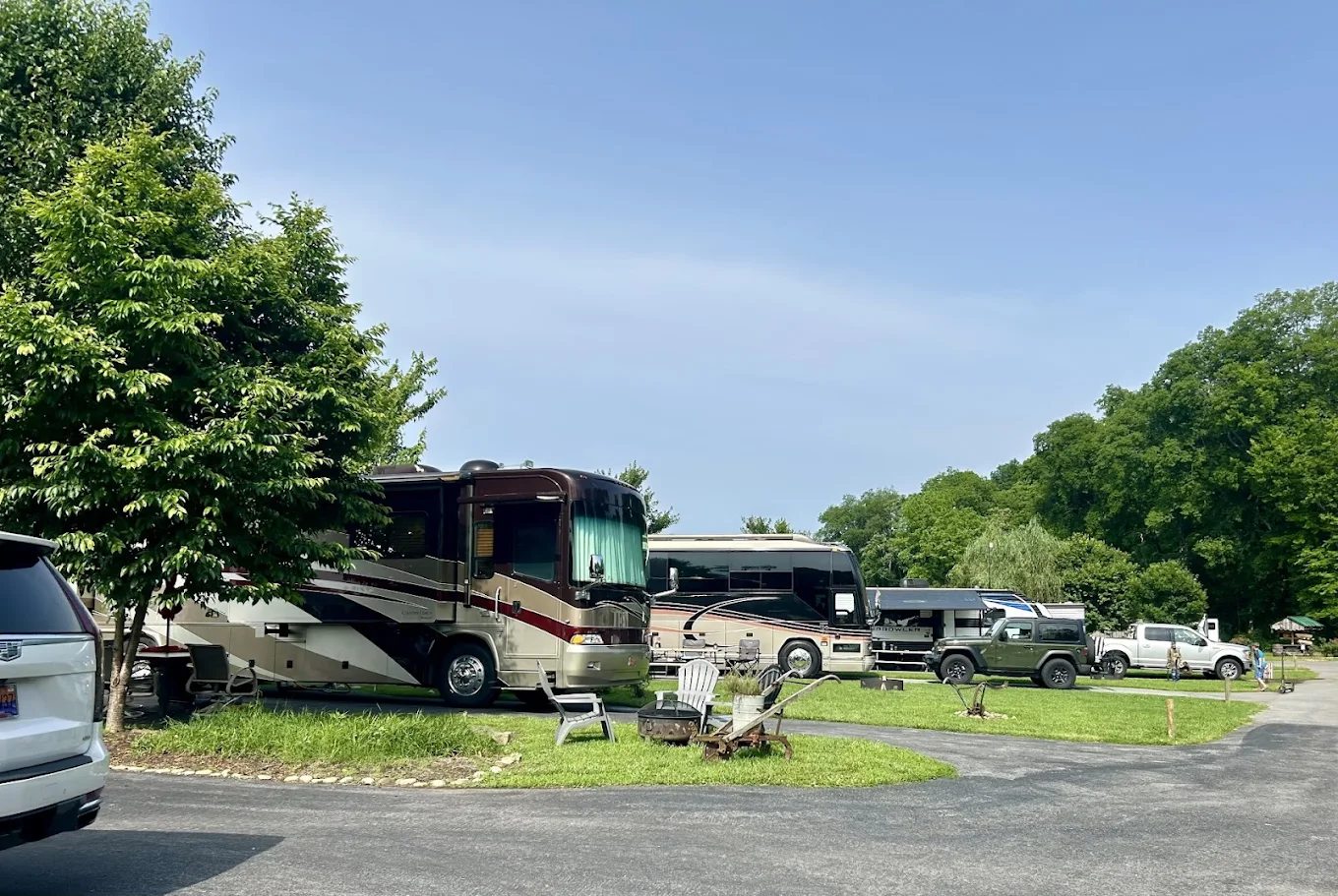 Buddy Bear in the Smokies RV Campground