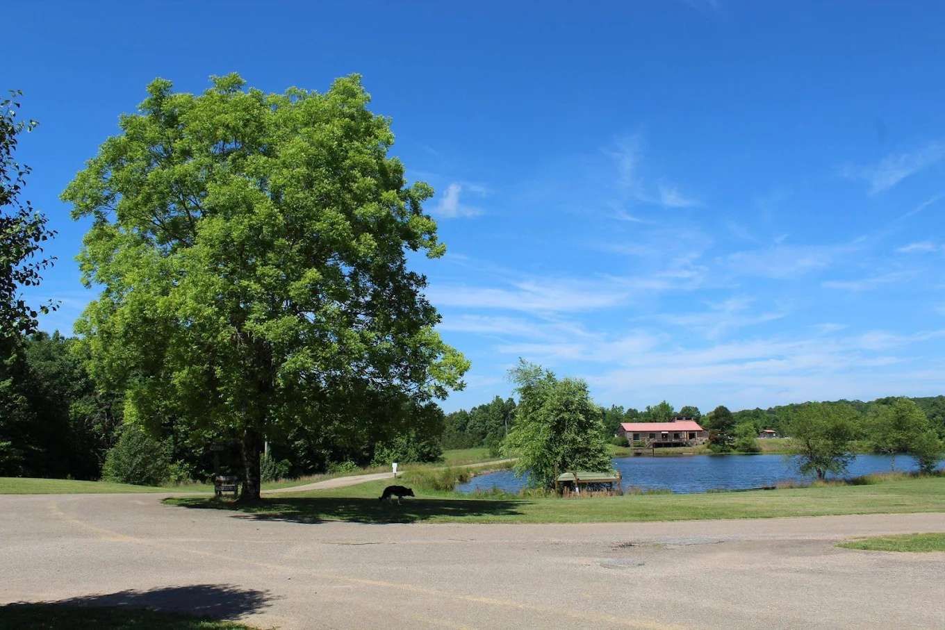 Big Buck Camping Resort