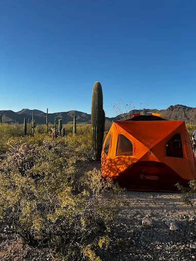 Gilbert Ray Campground Tucson Mountain Park