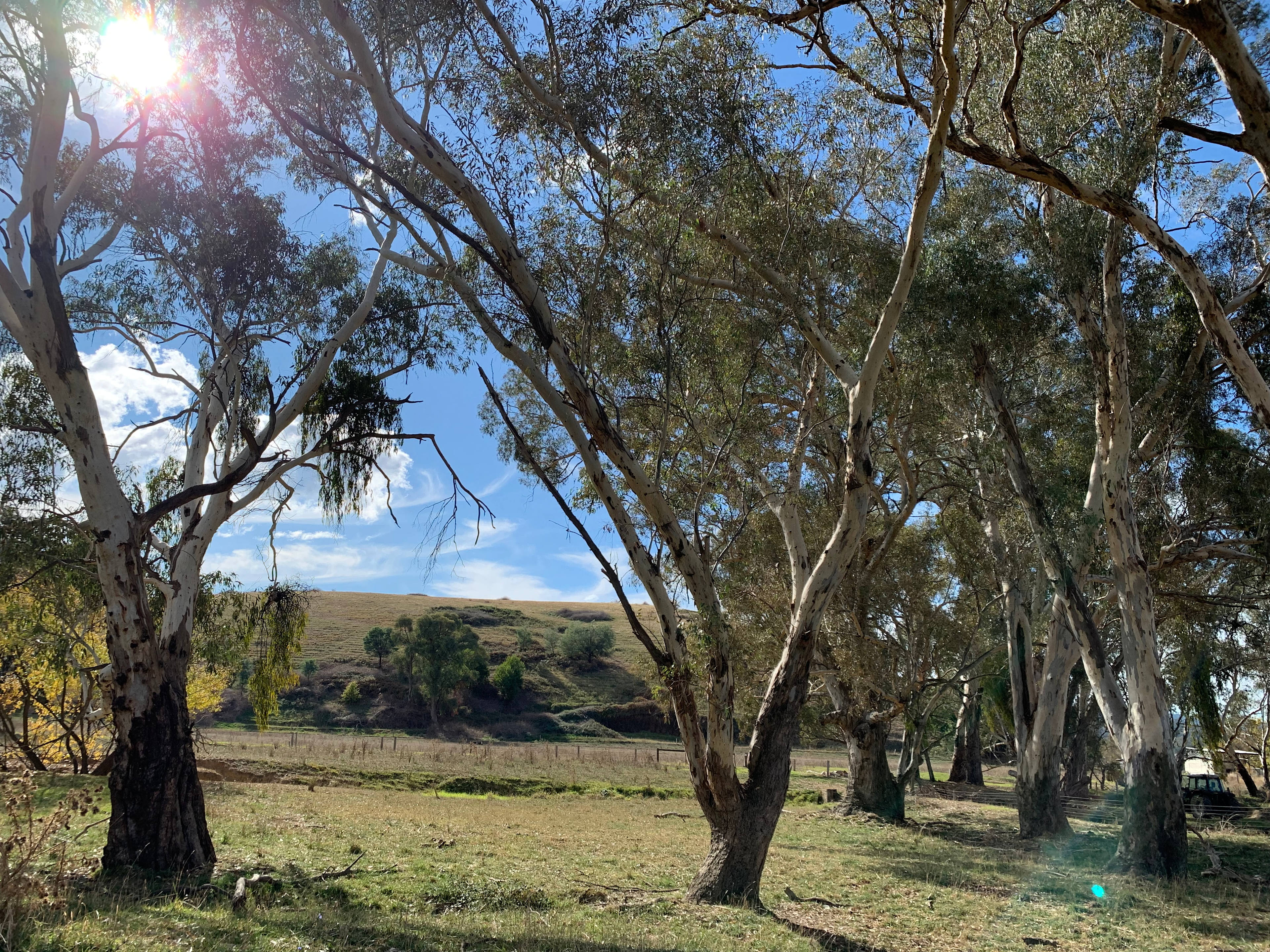 Glenwaters Farmstays