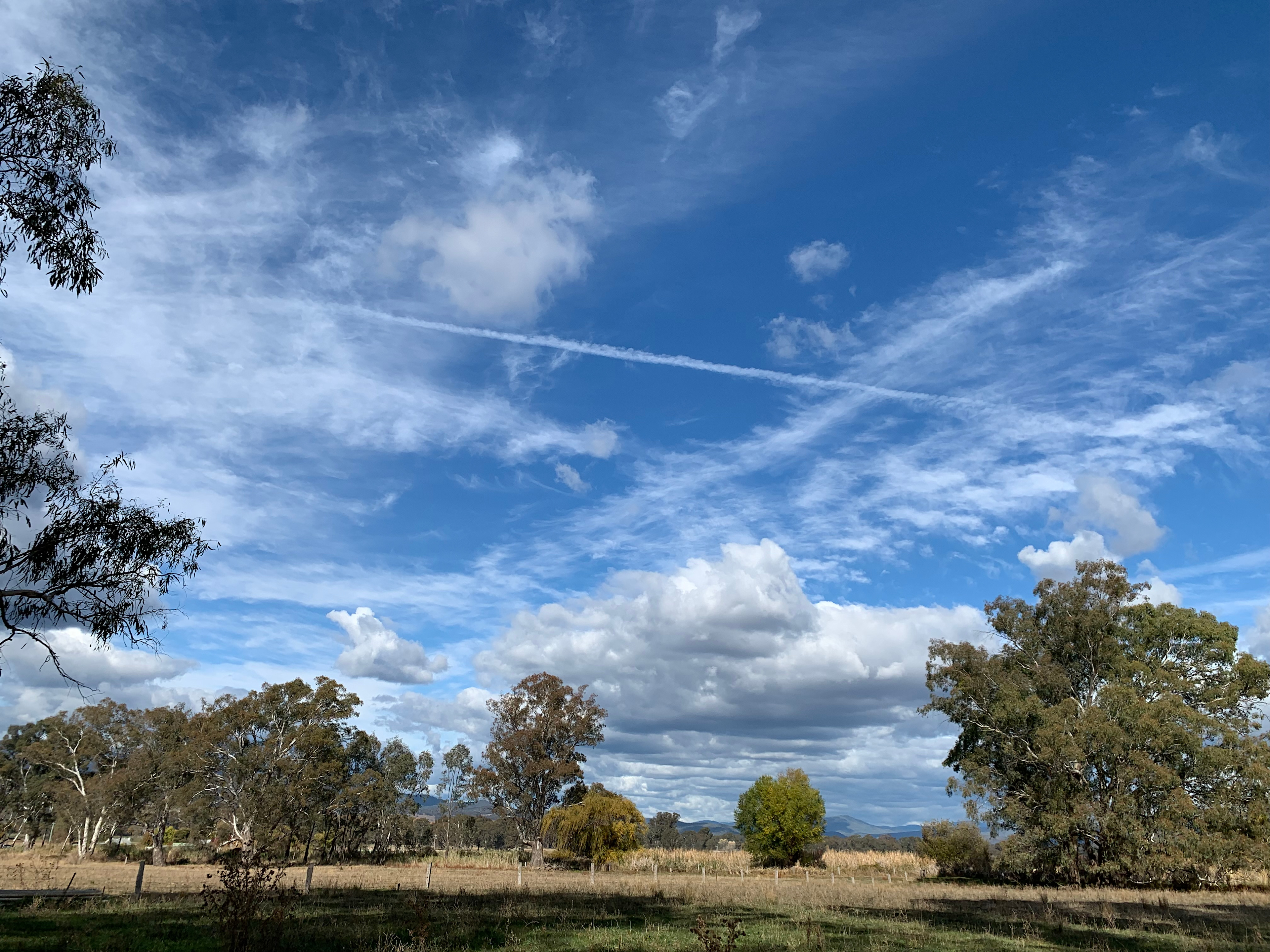Glenwaters Farmstays