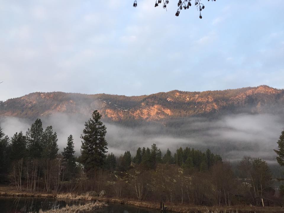 Birdland Bay RV Resort