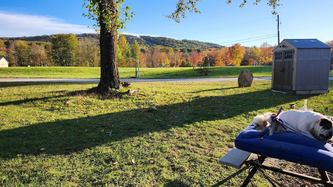 Chestnut Lake Campground