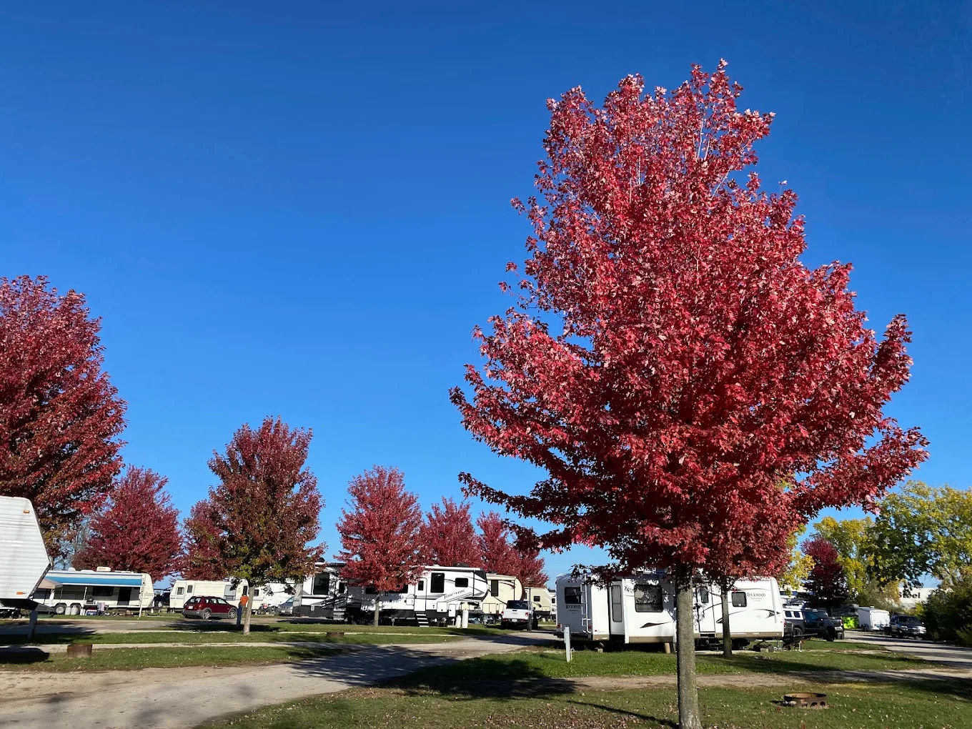 Osh Vegas Palms RV Resort