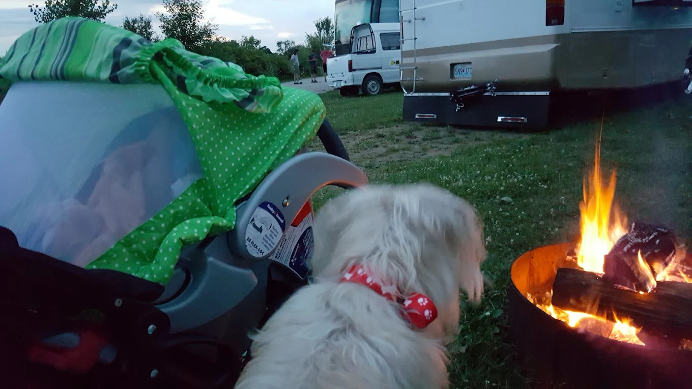 Osh Vegas Palms RV Resort