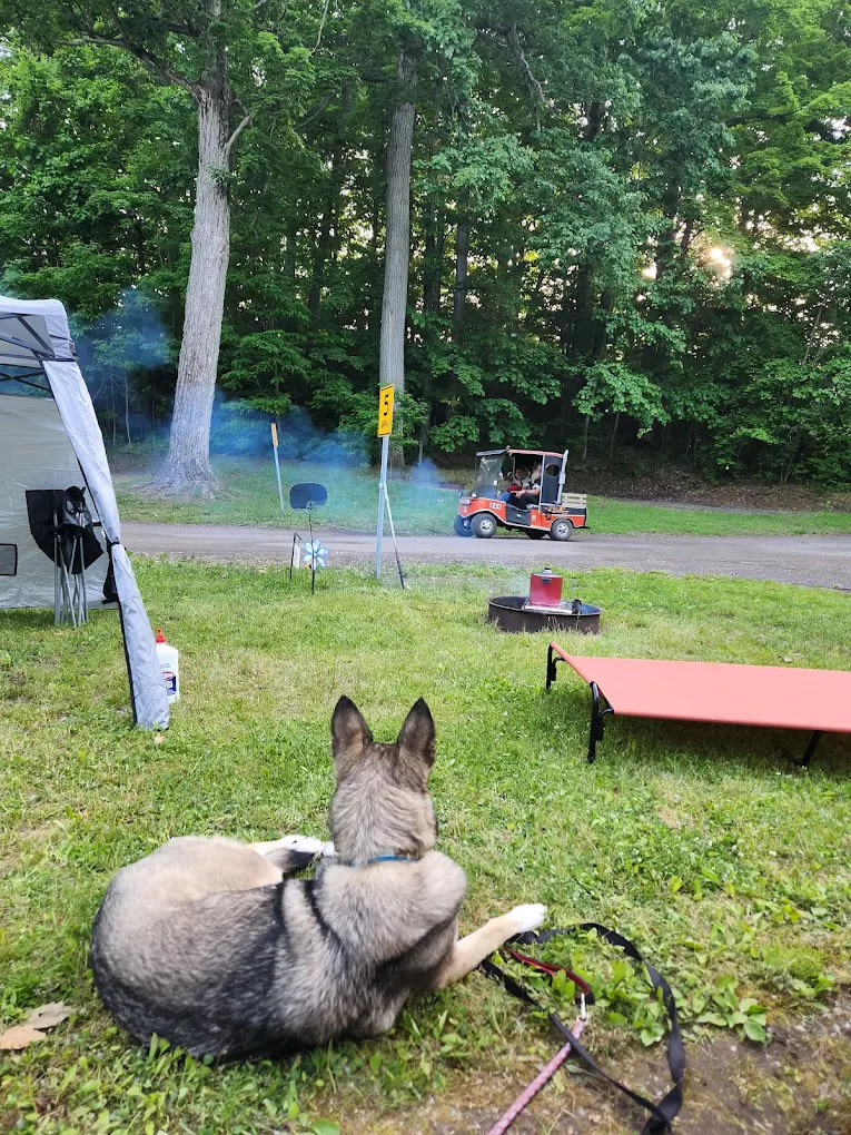 North Bay Campground
