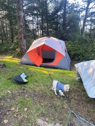 Barview Jetty County Campground