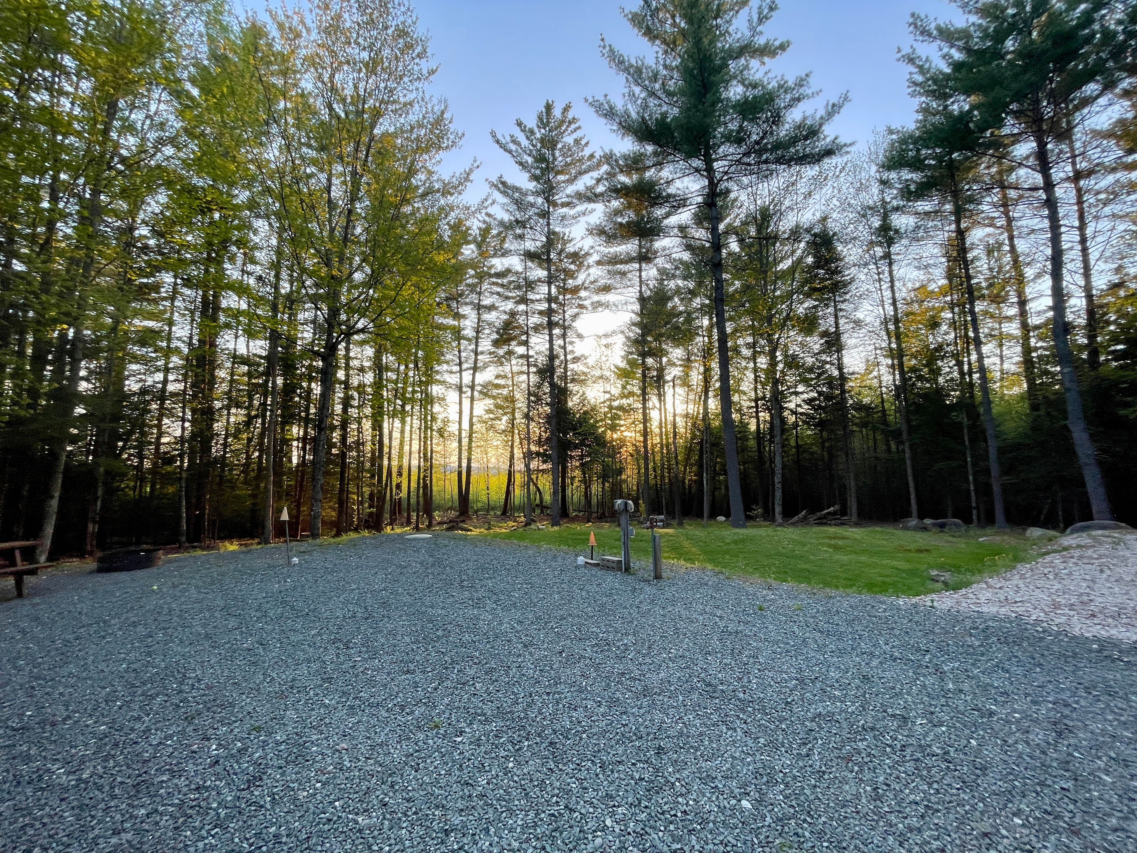 Hidden Pines
