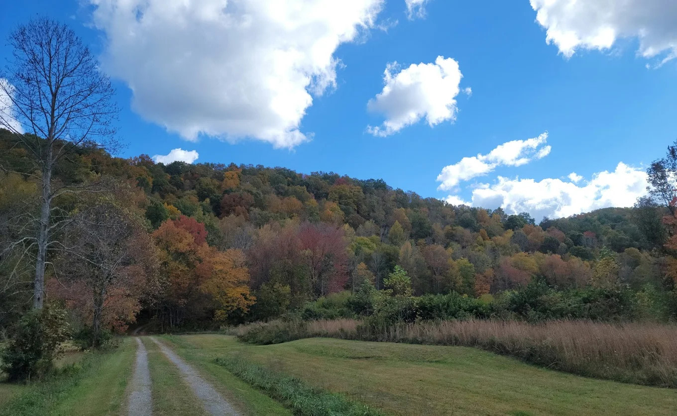 Hammer's Hideaway Campground