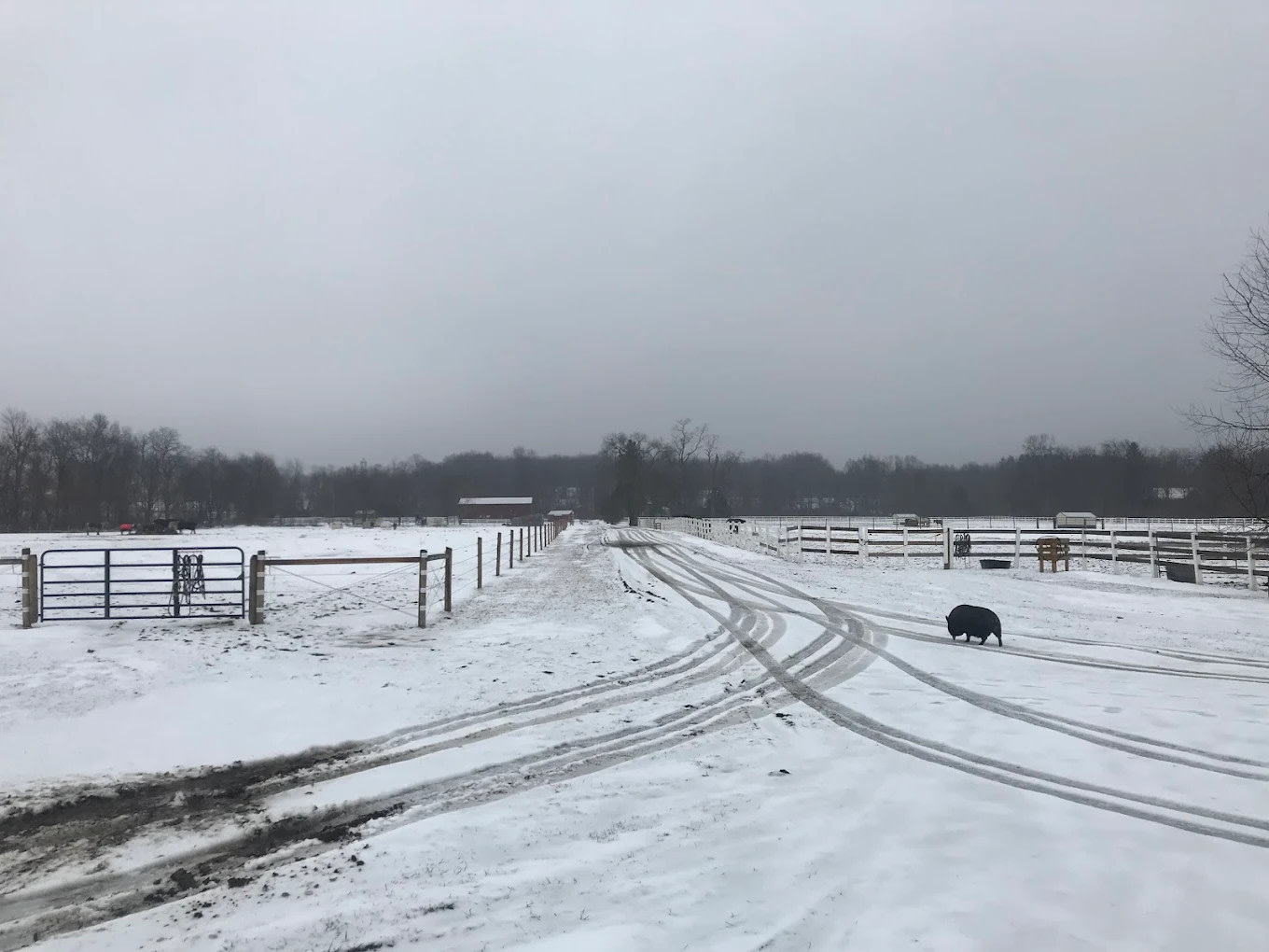 Clover Hill Farm