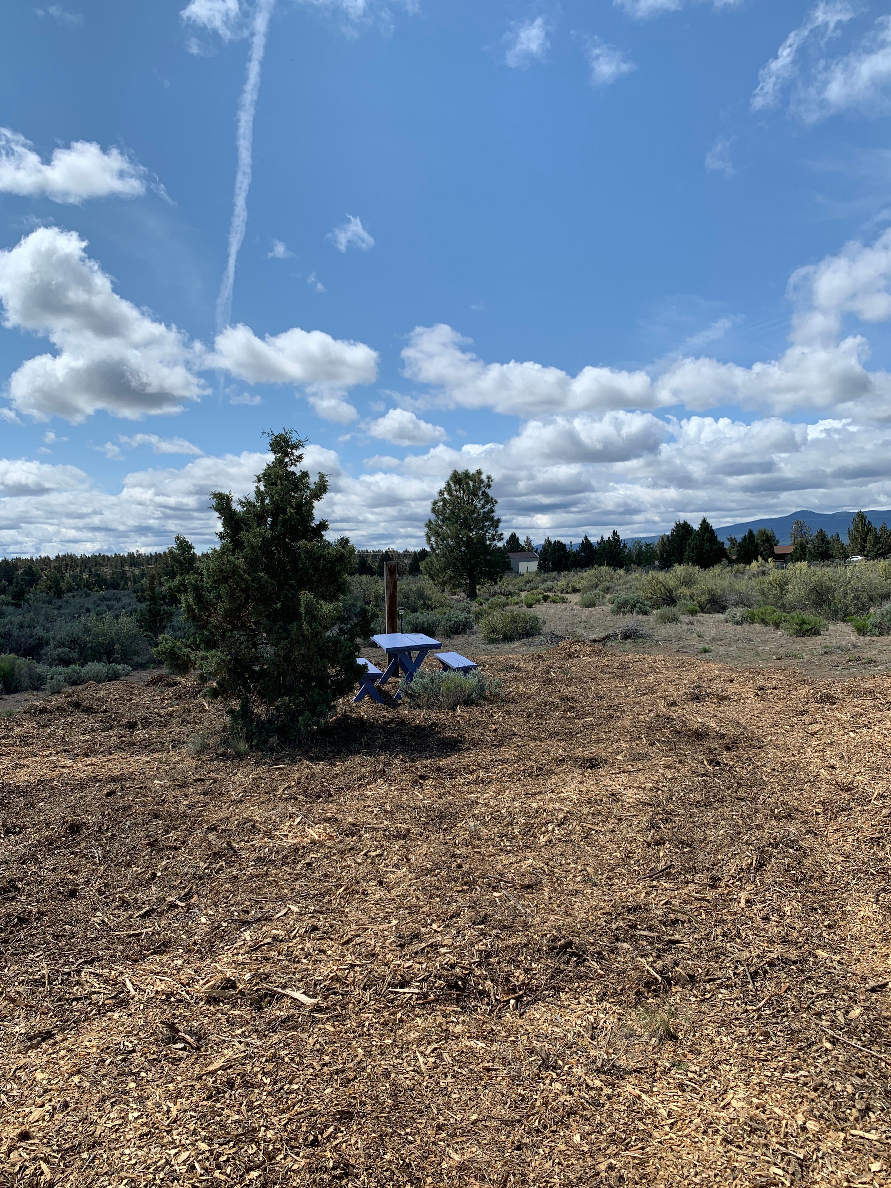 Mountain View Dreams