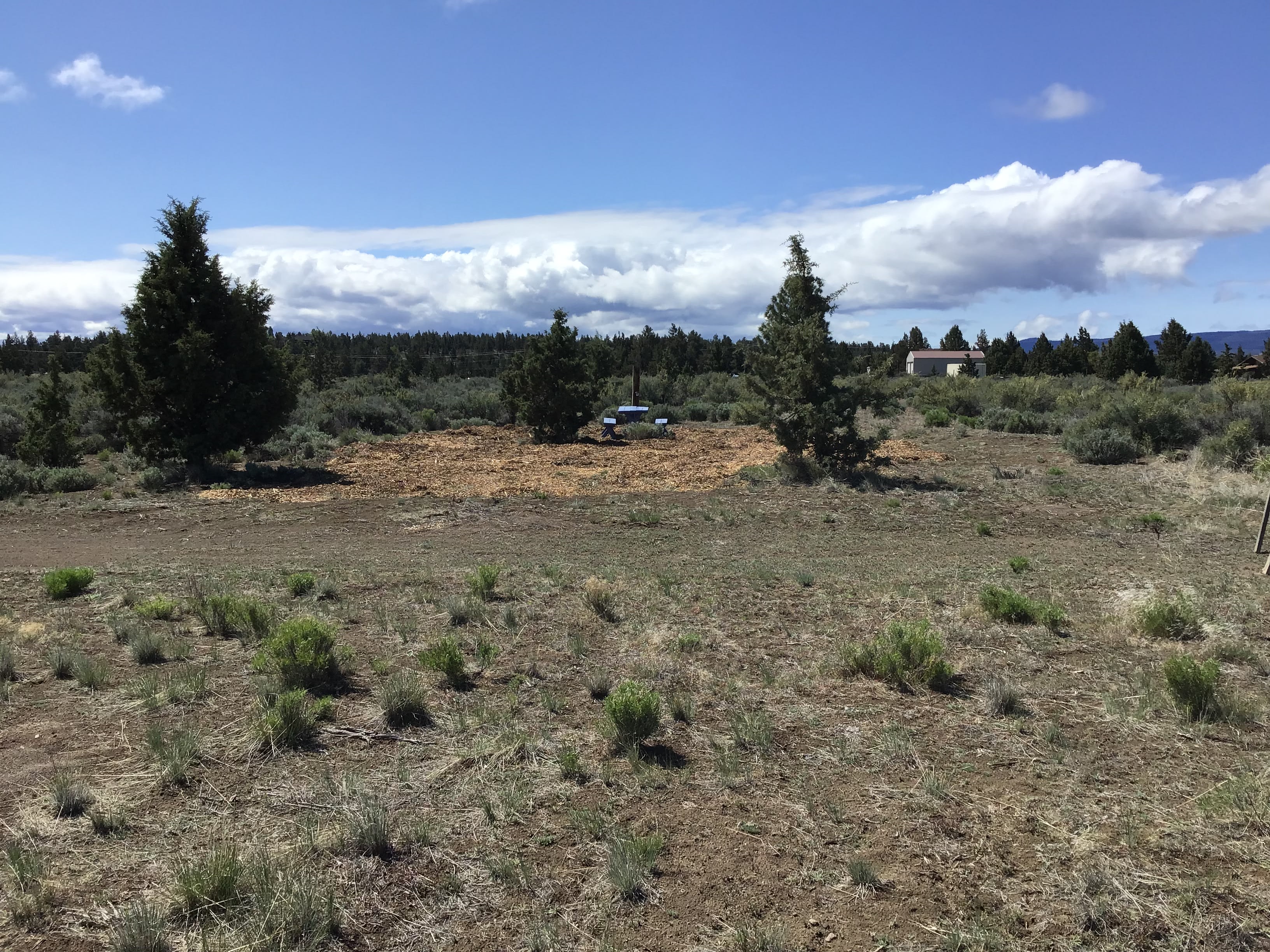 Mountain View Dreams