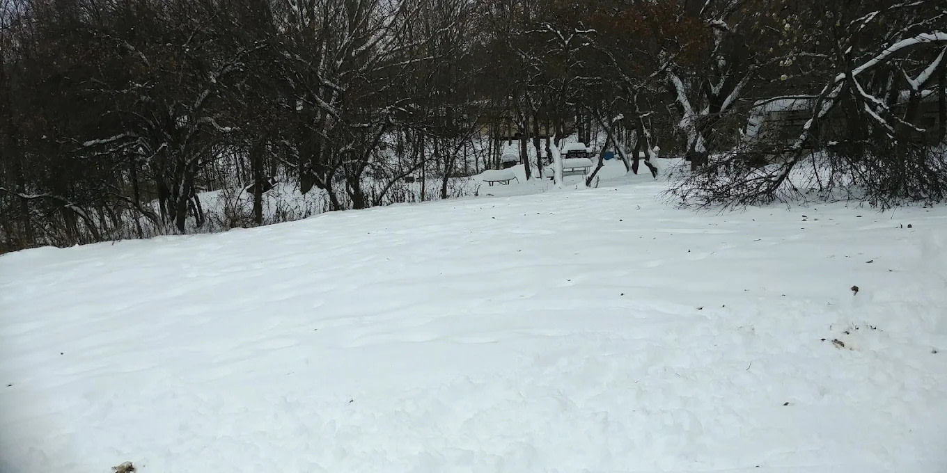 McCarthy Ranch and Campsite, LLC