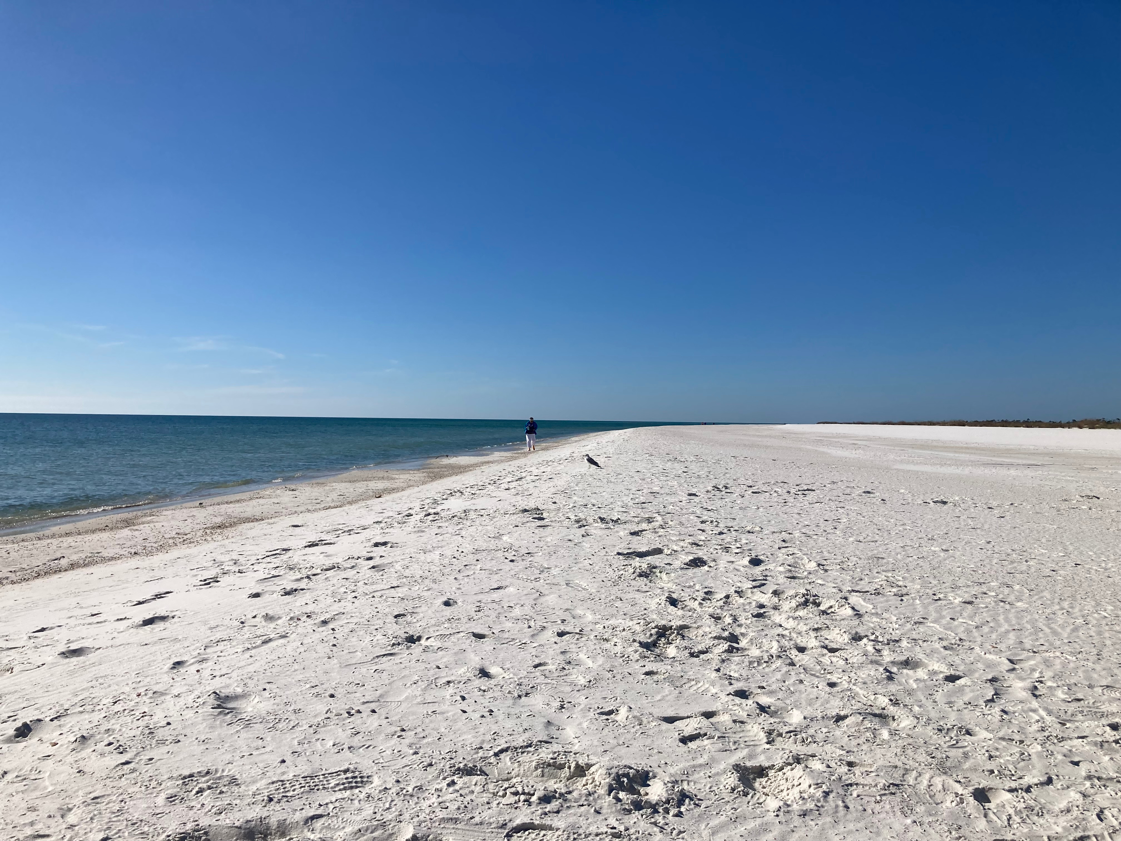 Panhandle Paradise